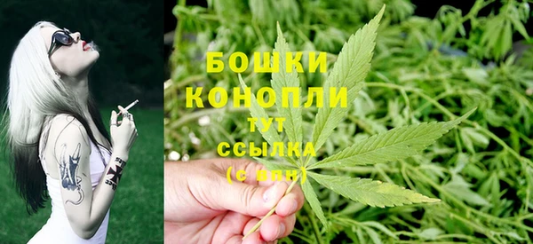 ГАЛЛЮЦИНОГЕННЫЕ ГРИБЫ Приозерск