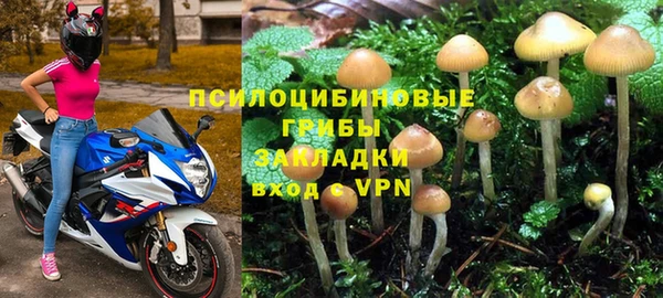 бошки Алзамай