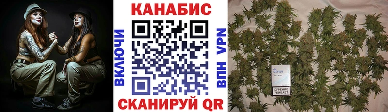 omg как войти  shop телеграм  Канабис MAZAR  Мураши 